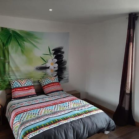 T3 Hyper-Centre Au Calme Tout Equipe Parking Prive Appartement Castres  Buitenkant foto